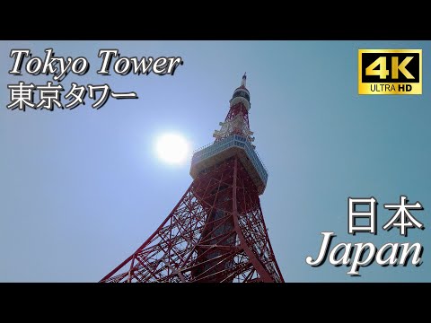 【Walk/散歩】Tokyo Tower/東京タワー