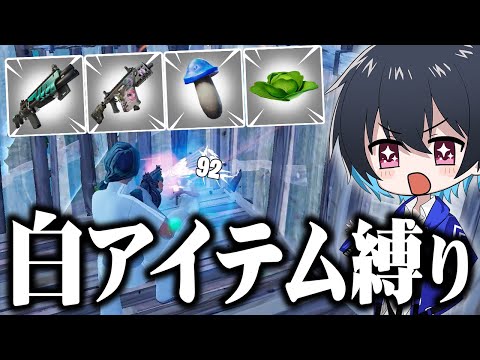 『武器/回復は白アイテムだけ』でソロアンリアル勝てるのか!?【フォートナイト/Fortnite】