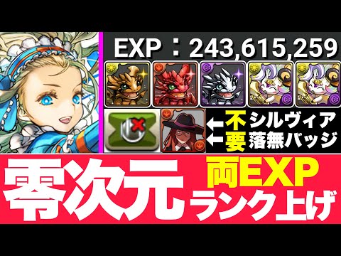 【零次元ランク上げ】1周2.43億の低難易度バレノア編成がやばすぎる！シルヴィア/落ちコン無しバッジも不要！1周13-15分台！【パズドラ】