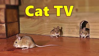 Cat TV ~ Mice in The Jerry Mouse Hole 🐭 8 HOURS 🐭 Videos for Cats