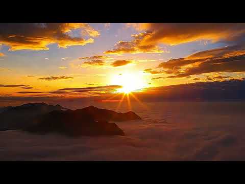 阿里山即時影像-二延平步道-夕陽縮時 2025-01-05 | Sunset and Cloud-sea Timelapse Eryanping Trail, Alishan, Taiwan