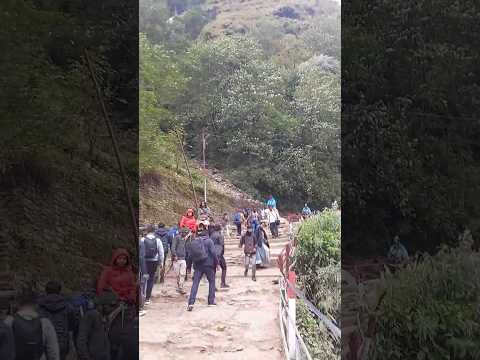 Kedarnath dham ki Yatra #kedarnath #kedarnathtemple #kedarnathstatus #kedarnathdham #shorts #short