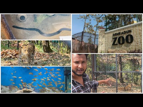 Dehradun zoo || Itne sare animal.