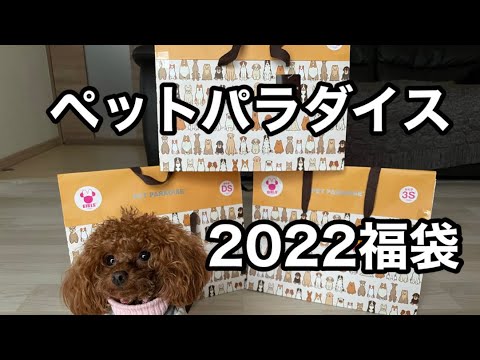 【ペットパラダイス】2022福袋　ネタバレ