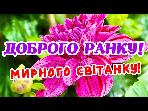 ДОБРОГО РАНКУ, МИРНОГО СВІТАНКУ! ГАРНЕ МУЗИЧНЕ ВІТАННЯ!