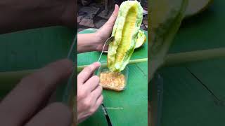 Beautiful Nature with Rural Life - Amazing! Organic Melon Fruit Cutting #fruit #farming #nature #diy