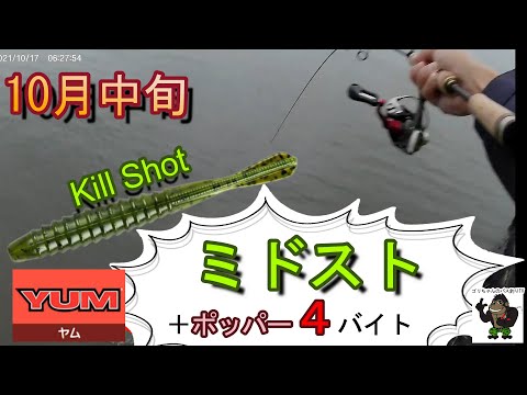 【バス釣り】霞ヶ浦・利根川_牛堀～スローポッパーで連続バイトからの初ミドストでヒット！！10月中旬_・・2021年10月17日