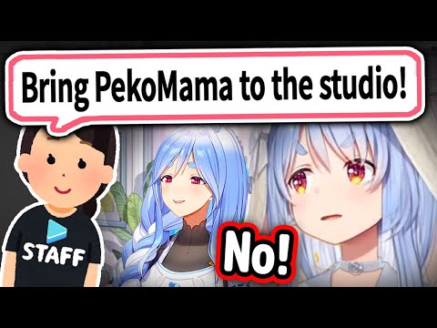 Cover Staff Asked If PekoMama Could Come To The Studio But Pekora Refused【Hololive】