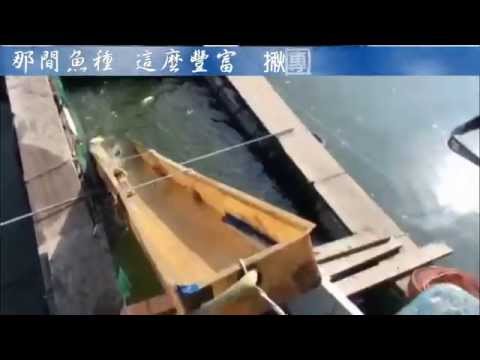 2015喜洋洋，進魚影音一波波，會員打聯單釣一整天