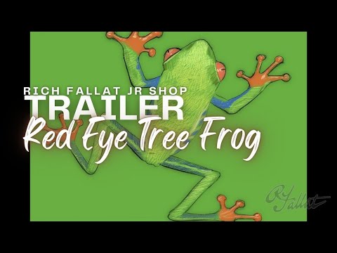 Red Eye Tree Frog Trailer