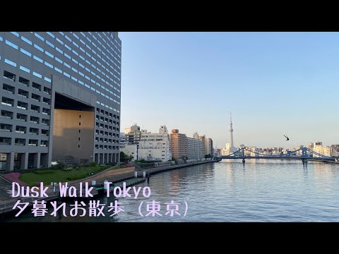 Dusk walk (Tokyo). 夕暮れお散歩 (東京)。