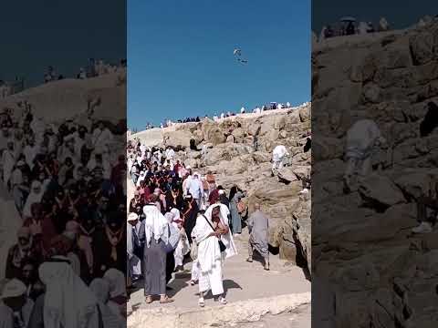 #arafat #hajjvlog #labaikallahhumalabaik #viral #islamic #islam #hajj2023