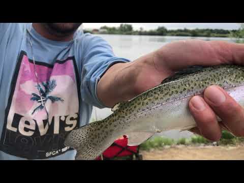 10 lb channel kitty (must watch ) #catfish #10lbs #subscribe #fishing