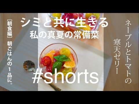 #shorts 夏の常備菜［朝食編］ネーブルとトマトの寒天ゼリー｜朝ごはんの1品にいかがですか？