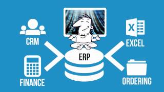 What is ERP software