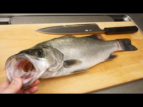 How to filet blackfin seabass and make sashimi(yakishimodukuri)