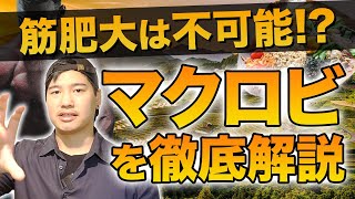 【万能食!?】"マクロビオティック"で筋肥大は可能なのか!? 徹底解説。