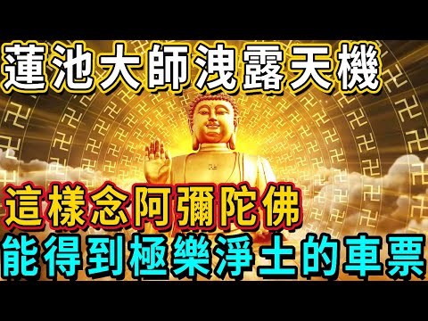 Master Lianchi is a leak! If you read Amitabha Buddha in this way  you can get a ticket to the pure