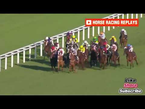 Carrytheone / 6 Race Ascot 19 oct 2024