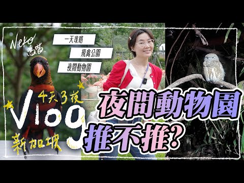 夜間動物園 & 飛禽公園 到底適合誰去玩？ 新加坡 景點推薦｜NeKo嗚喵． VLOG