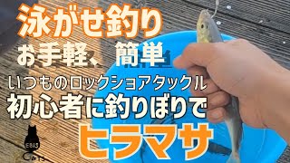 【泳がせ釣り】釣り堀で初心者がアジを泳がせヒラマサを狙う！