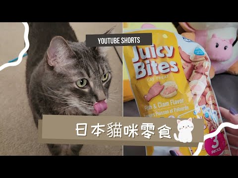 貓咪最愛的日本零食 |生活短片| 在洛杉磯日本超市買的貓咪零食 #shorts