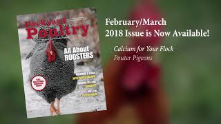 Backyard Poultry February / March 2018