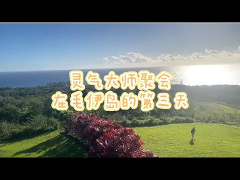 灵气大师聚会毛伊岛Day3~✨一起来看看威廉老师家后花园的风景吧，高频能量❤️