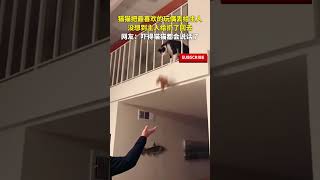 猫猫把最喜欢的玩偶丢给主人，主人却给扔了回去。网友：猫咪差点开骂~#pets  #宠物#猫咪