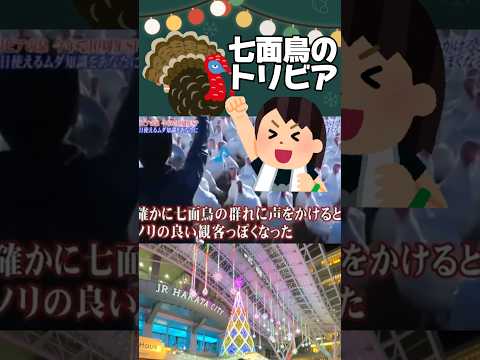 【癒し】七面鳥🦃の群れに声をかけるとノリの良い観客っぽくなる✨「アラームコール」という鳥の習性💡 #shorts#癒し#七面鳥#アラームコール#ノリノリ