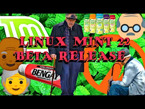 linux mint 22 beta lookaround 👴 #linuxmint #beta