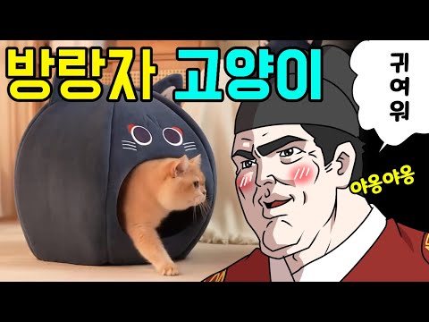 방랑자 입에서 고양이 나옴