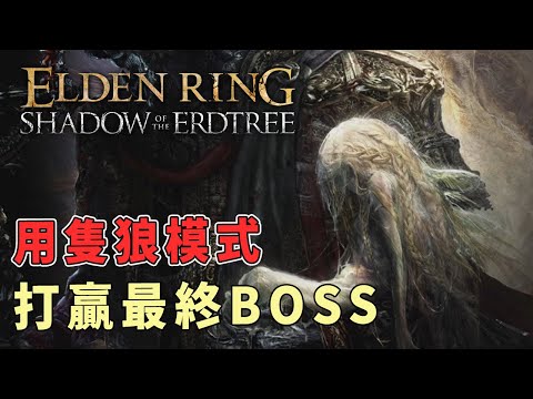 用隻狼模式跟最終BOSS激烈碰撞♂️｜艾爾登法環｜黃金樹幽影｜一周目