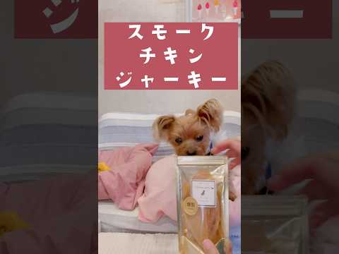 むちゃくちゃウマイ🐶💕🐶