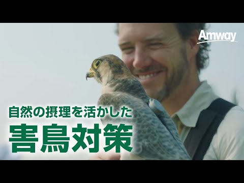 【ニュートリライト™農場】自然の摂理を活かした害鳥対策