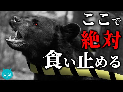 クマの出没を食い止めろ！行政の保全活動がガチだった件＃1