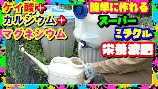 ケイカル浸み出し液の作り方 成長爆速これはマジでホンモノだ【超簡単自作】