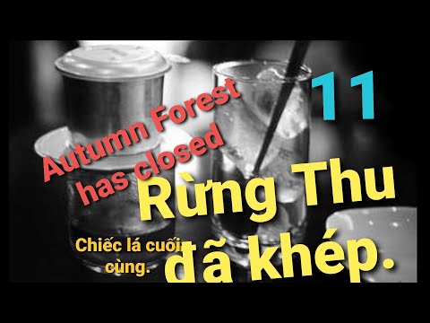 Cà phê phin #11: Autumn Forest has closed - Rừng Thu đã khép.