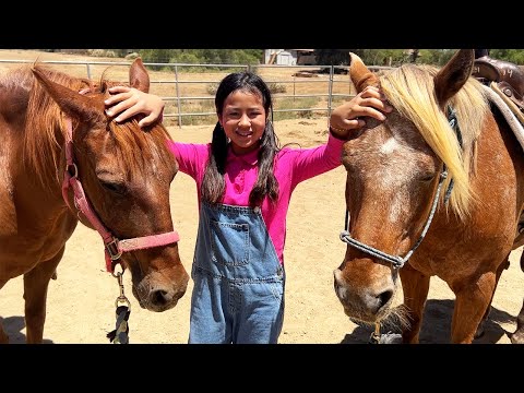 Jannie's Galloping Fun: Learning to Love Horses on the Farm!