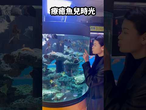 跟魚兒好好玩🐟你們有養水族魚類嗎？#台灣#水族#魚#水族館