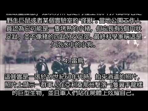 【奇聞趣事】這些神秘生物騙了人類上百年, 真相終於曝光!!!