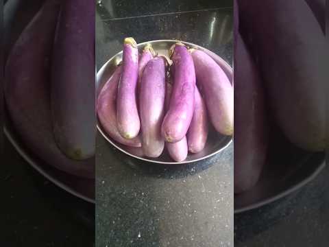 Brinjal Recipe