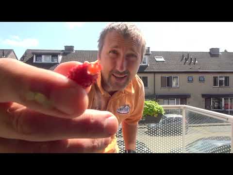 Experiment #315: Aardbeien eten uit eigen tuin 🍓