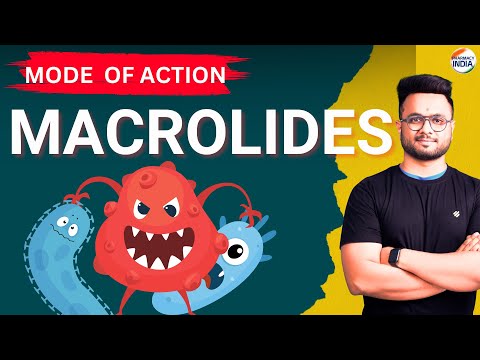 Macrolides | 3D Animation | Mode Of Action | Use | Side Effects #macrolides