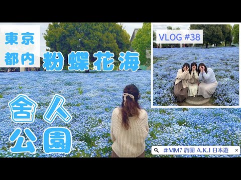 VLOG #38 東京都內  | 足立 舍人公園 藍色粉蝶花海 | 四ツ谷 韓系cafe marron papier of seoul | 後樂園 平價高質量迴轉壽司 根室花まる #東京旅行 #粉蝶花