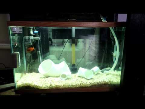 Easier Saltwater Quarantine System