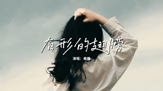 毒藥 - 有形的翅膀『我曾害怕 所以我懂得難免會沮喪的模樣，我受過傷 所以更渴望美麗的飛翔。』【動態歌詞MV】