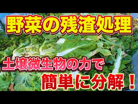 【残渣処理】微生物の力を使って簡単に処理する方法！スコップ１つで楽々作業！