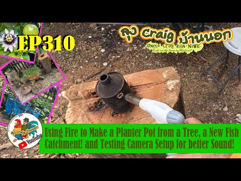 EP310 Using Fire to Make a Planter Pot from a Tree, Fish Catchment!, Testing Camera Setup