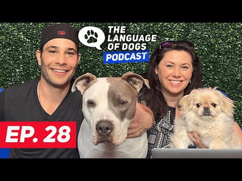 The Language of Dogs Podcast EP.028  "Reactivity in Dogs" W/ Justin Silver and Kristen Hartley